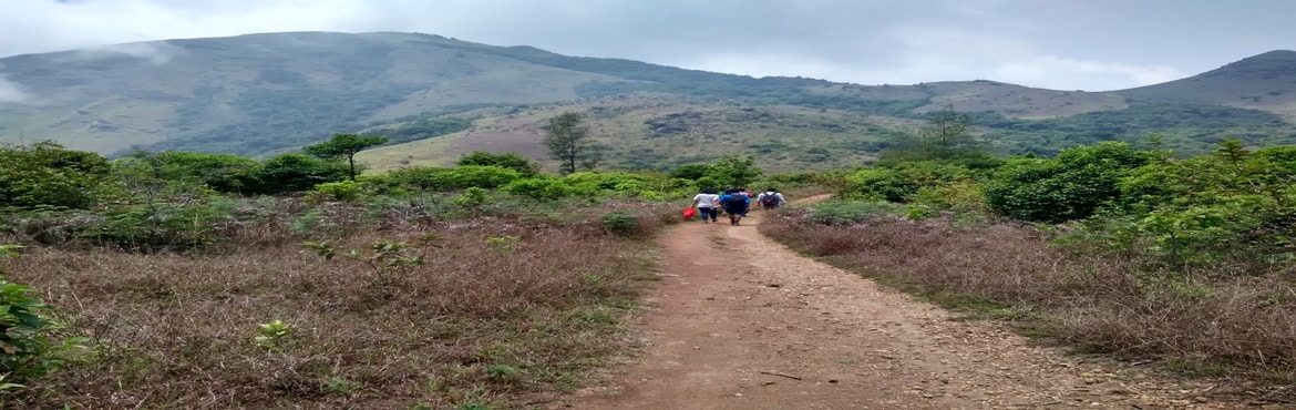 Book Online Tickets for tadiandamol trek and dubare visit, Bengaluru.  TADIANDAMOL is the highest peak in Coorg and is surrounded by stunning greenery of the Shola forests. It reaches to an elevation of 1,748 m.
The replenishing nature, tricky terrains, thickly wooded slopes and the misty valleys have always 