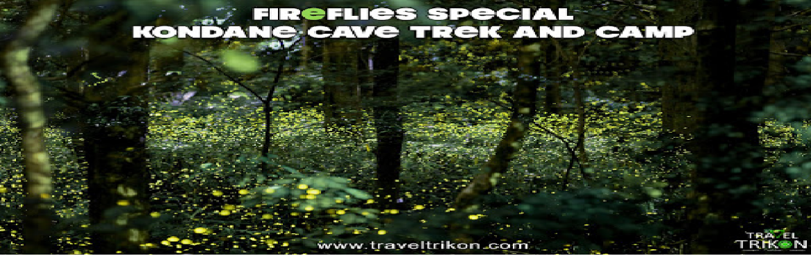 Book Online Tickets for Fireflies Trek to Kondana Caves on 2nd 3, Kondhane. 
Who are these beautiful Fireflies?

Fireflies or lightning bugs make light within their bodies. This process is called bioluminescence and is shared by many other organisms, mostly sea-living or marine organisms. Fireflies light up to attract a mate