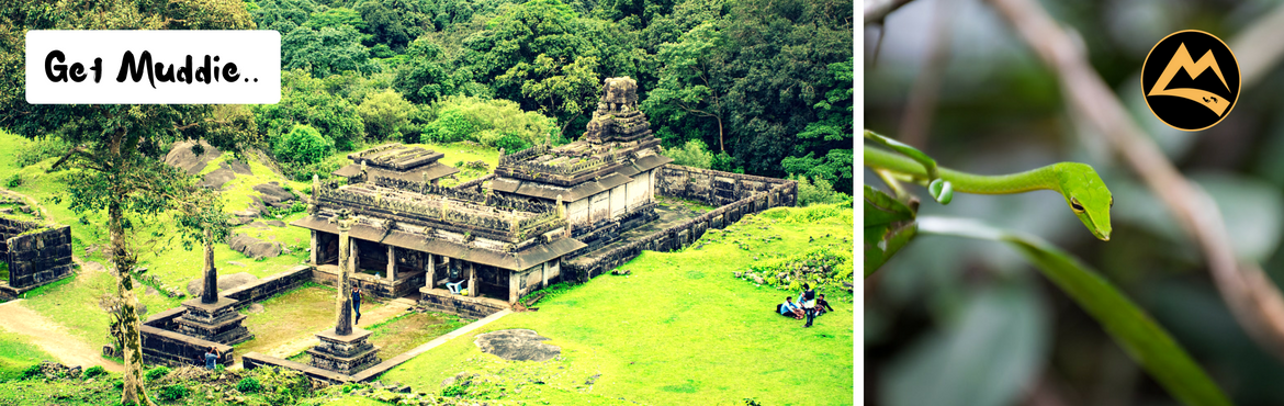 Book Online Tickets for Monsoon special - The Agumbe Rainforest , Bengaluru. Muddie Trails heartfully brings you the unique and amazing combination of

Mountains
Rainforest,
Waterfalls,
Hikes,
Camping,
Amazing sunset,
Beautiful Fort
Wildlife research station,
Delicious Malnad style food!

 

Basics:



Group size
12 to 2