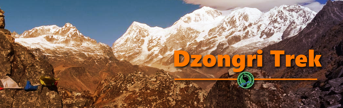 Book Online Tickets for Dzongri Trek : Gate way to Kanchenjunga , Yuksom. The North Eastern region of India offers numerous adventurous and remarkable trails that attract a lot of travellers across the globe. Dzongri trek begins from Yuksom and finishes at Yuksom in 5 days.  For the trekkers who want to explore more i