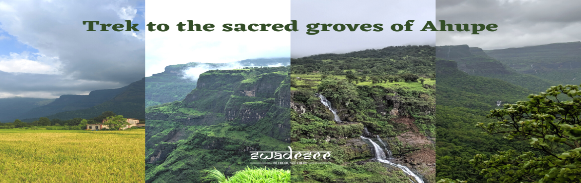 Book Online Tickets for Ahupe Sacred Groves Trek, Pune.  
What is a devrai? Who are the Mahadeo Kolis? What message does their culture and way of life convey to us in today’s age?
On this trek to Ahupe village, we explore Maharashtra’s incredible natural and cultural heritage in the Sahya