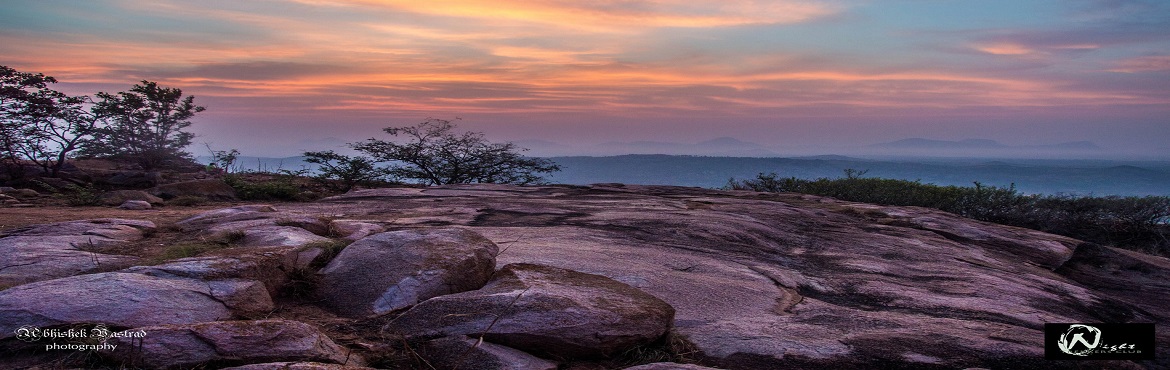 Book Online Tickets for Wee Hours Trek To Samode, Jaipur, samode.  
“Because in the end, you won’t remember the time you spent working in the office or mowing your lawn. Climb that goddamn mountain.” ― Jack Kerouac
As you hear the name Jaipur, images of royal forts and palaces, colourful ma