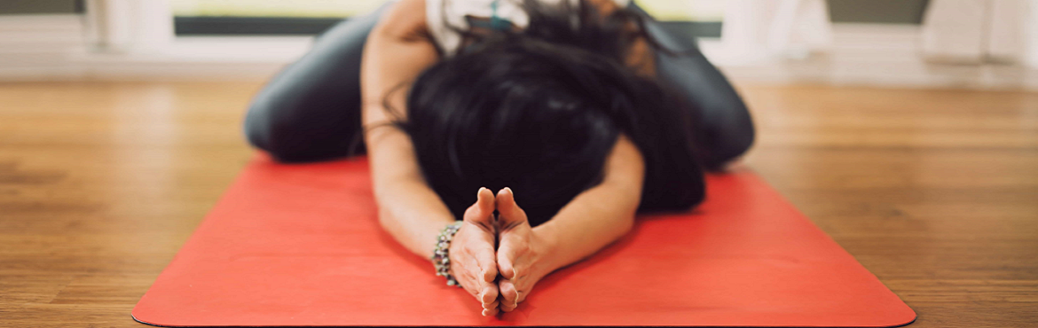 Book Online Tickets for 300 Hour Affordable Yoga Training Course, Rishikesh. 300 Hour Multi style Yoga Teacher Training from Sri Yoga Ashram Rishikesh is offered as an advanced training after our&nbsp;200 Hour Yoga TTC in Rishikesh. We mainly offer more advanced techniques of Kundalini yoga kriyas and meditations from Tantra 