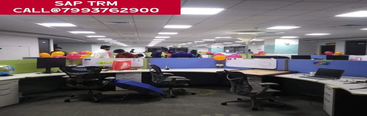 Book Online Tickets for Call@7993762900.SAP TRM (Treasury and Ri, Hyderabad.  No.1 SAP TRM online Training institute in Hyderabad,Bangalore,Pune,Chennai@799376290
SAP TRM Training Institute in Hyderabad,Ameerpet real time experts in Sap trm online training Online Training all over the world like Hyderabad, Bangalore, Mum