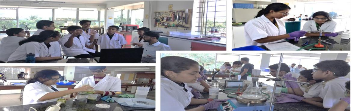 Book Online Tickets for Science Explorers Quest (Sr - Module1), Bengaluru. &nbsp;
About the event:&nbsp;
 \
