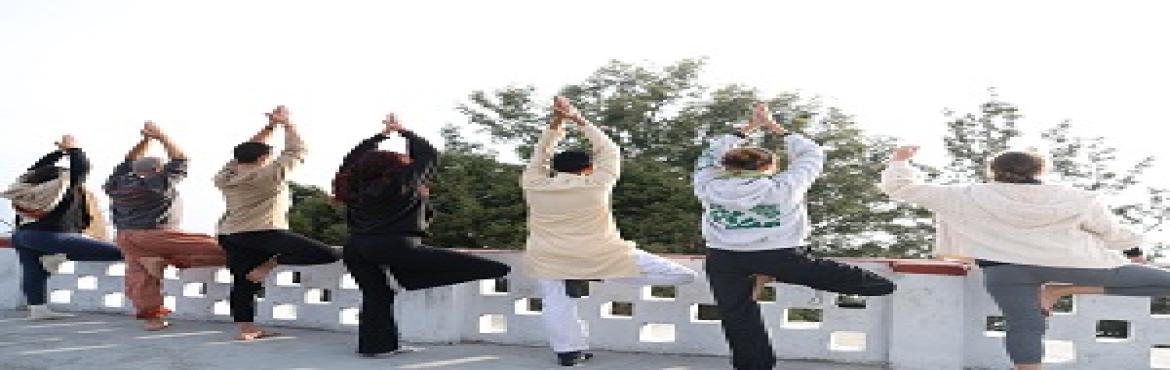 Traditional 200 Hour Yoga TTC in Rishikesh SriYoga Ashram
