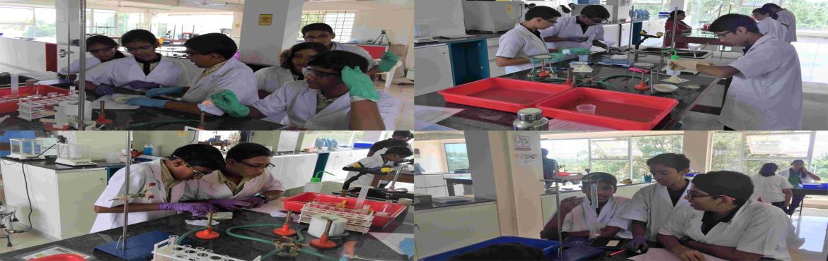 Book Online Tickets for Science Explorers Quest (Sr)  , Bengaluru. Science Explorers Quest (Sr) (Grade 8-Grade 10)
\