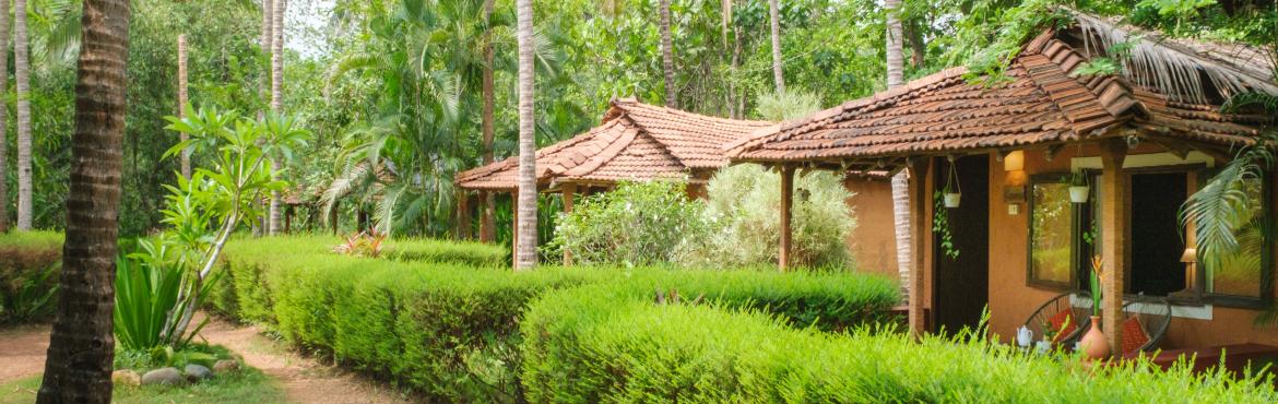 Book Online Tickets for Monsoon Safari in Goa, Goa. 


Monsoon Safari in Goa
Experience the wild magic of Goa like never before! Join us for a monsoon escape filled with lush greenery, bioluminescent trails, hidden waterfalls, and night safaris with a Group Trip from 26 to 28th July.
To know more and 