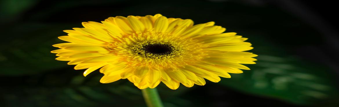 Book Online Tickets for Your Full Guide to Expedia Support 21 Ea, New York. body{font-family:Arial,sans-serif;font-size:10pt;}
.cf0{font-weight:bold;font-family:Consolas;font-size:11pt;}.cf1{font-weight:bold;font-family:Segoe UI Emoji;font-size:11pt;}.cf2{font-weight:bold;font-family:Microsoft YaHei,sans-serif;font-size:11pt