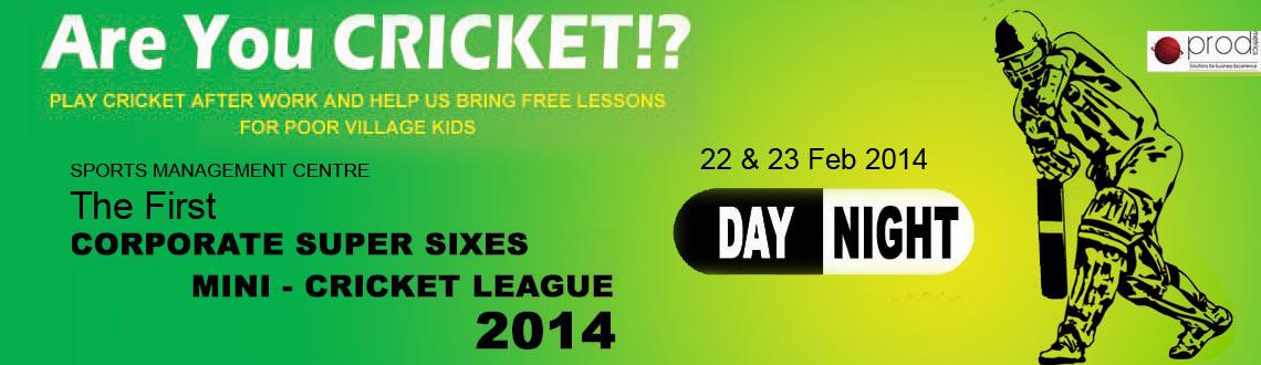The First Corporate Super Sixes Mini Cricket League 2014