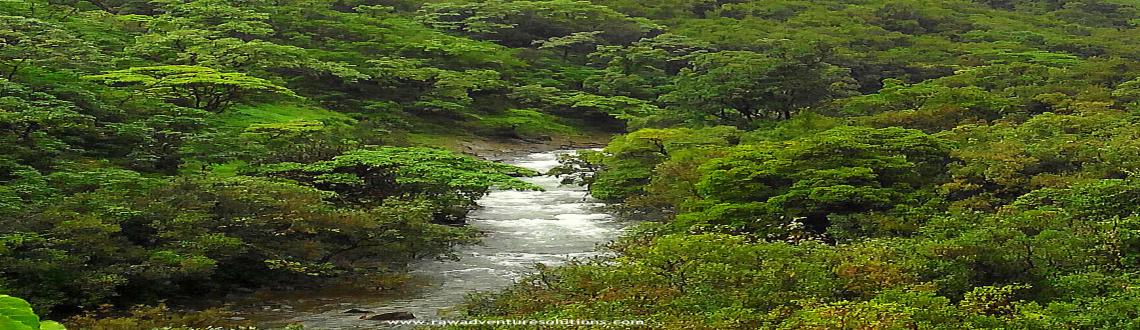 Book Online Tickets for KAMANDALU River Trail through Rain Fores, Pune. Time to go CRAZY next week with nExT leVel aDvenTurE.....&nbsp;You have crossed Rivers many a Times, but have you ever walked through it ??? LEt\\\'S do it RAWDIES >>Raw Adventure Solutions -KAMANDALU RIVER TRAIL through Rain Forest...on 7th SE