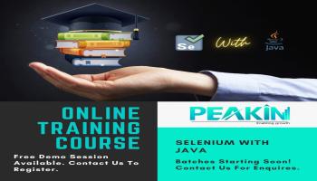Selenium Automation online Training with AI Tools